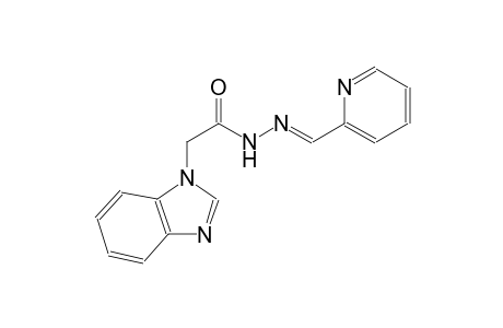 1H-benzimidazole-1-acetic acid, 2-[(E)-2-pyridinylmethylidene]hydrazide