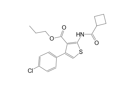 propyl 4-(4-chlorophenyl)-2-[(cyclobutylcarbonyl)amino]-3-thiophenecarboxylate