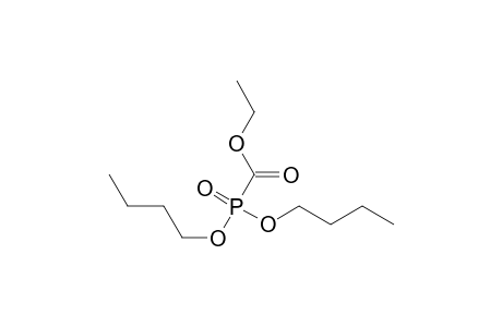 dibutoxyphosphorylformic acid ethyl ester