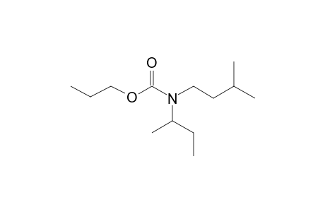 Carbamic acid, N-(2-butyl)-N-(3-methylbutyl)-, propyl ester