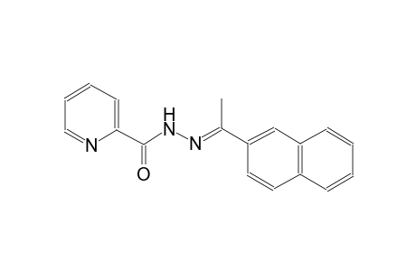 N'-[(E)-1-(2-naphthyl)ethylidene]-2-pyridinecarbohydrazide