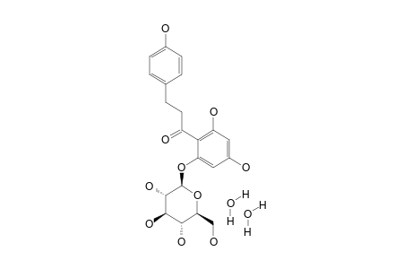 Phloridzin dihydrate