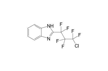 2-(3-Chloro-1,1,2,2,3,3-hexafluoropropyl)-1H-benzoimidazole