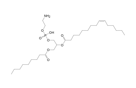 PE 9:0_15:1