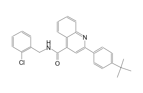 2-(4-tert-butylphenyl)-N-(2-chlorobenzyl)-4-quinolinecarboxamide