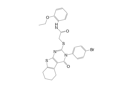 2-{[3-(4-bromophenyl)-4-oxo-3,4,5,6,7,8-hexahydro[1]benzothieno[2,3-d]pyrimidin-2-yl]sulfanyl}-N-(2-ethoxyphenyl)acetamide