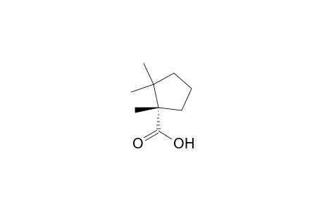 (1S)-1,2,2-trimethyl-1-cyclopentanecarboxylic acid
