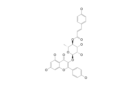 KAEMPFEROL-3-O-ALPHA-L-[4''-(E)-PARA-COUMAROYL]-RHAMNOPYRANOSIDE