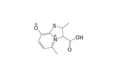 3-carboxy-2,5-dimethyl-2,3-dihydro-[1,3]thiazolo[3,2-a]pyridin-4-ium-8-olate