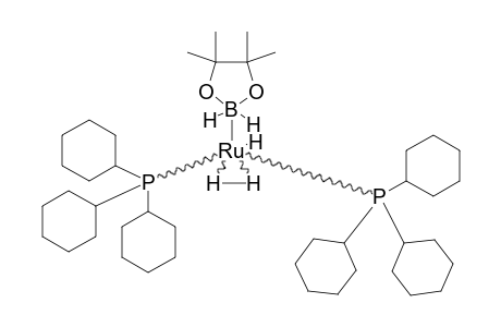 RUH-(H2BPIN)-(H2)-(PCY3)2