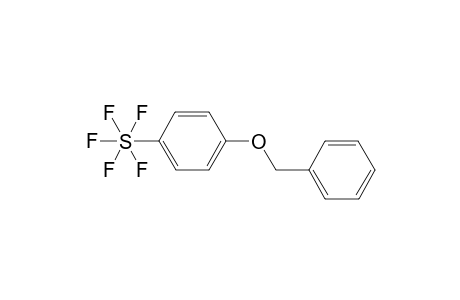 1-(Benzyloxy)-4-(pentafluorosulfanyl)benzene