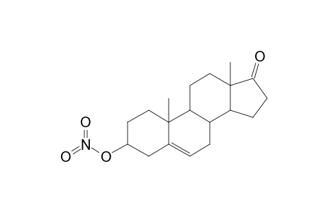 3-Nitryloxy-androst-5-en-17-on