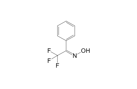 (1Z)-2,2,2-Trifluoro-1-phenylethanone oxime