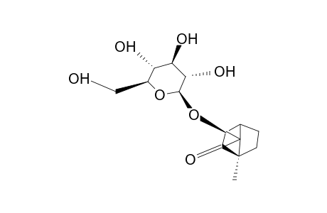 (1R,3R,4S)-3-HYDROXYBORNAN-2-ONE-3-O-BETA-D-GLUCOPYRANOSIDE