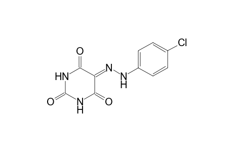 2,4,5,6(1H,3H)-Pyrimidinetetrone, 5-[(4-chlorophenyl)hydrazone]