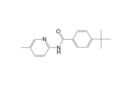 benzamide, 4-(1,1-dimethylethyl)-N-(5-methyl-2-pyridinyl)-