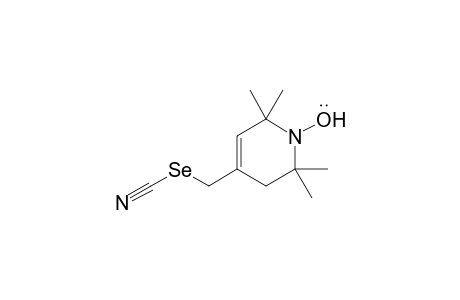 1,2,5,6-Tetrahydro-4-selenocyanatomethyl-2,2,6,6-tetramethylpyridin-1-yloxy radical