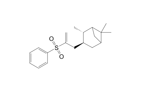 (2S,3S)-3-(2-Benzenesulfonyl-allyl)-2,6,6-trimethyl-bicyclo[3.1.1]heptane