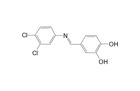 4-[(3,4-dichloro-phenylimino)-methyl]-benzene-1,2-diol