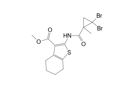 methyl 2-{[(2,2-dibromo-1-methylcyclopropyl)carbonyl]amino}-4,5,6,7-tetrahydro-1-benzothiophene-3-carboxylate