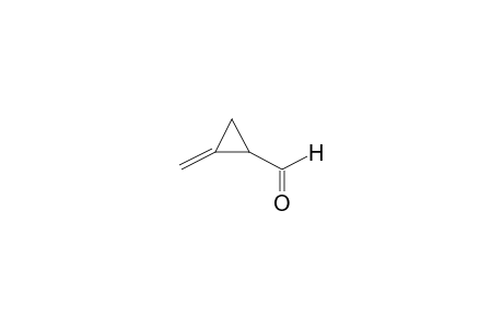 2-Methylene-1-cyclopropanecarboxaldehyde