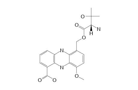 PELAGIOMICIN_A;(3-HYDROXYVALYL)-GRISEOLUTEIC_ACID