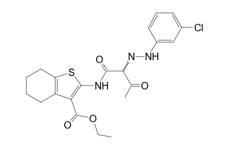 N-(3-Ethoxycarbonyl-4,5,6,7-tetrahydrobenzo[b]thien-2-yl)-2-(3-chlorophenyl hydrazono)-3-oxobutanamide