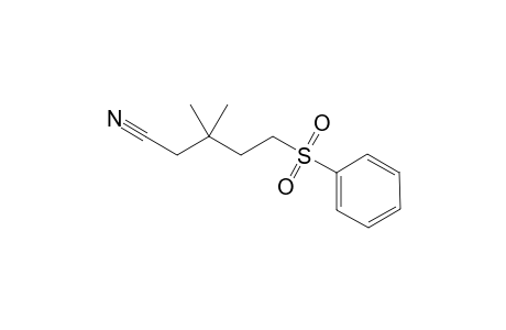 3,3-Dimethyl-5-(phenylsulfonyl)pentanenitrile