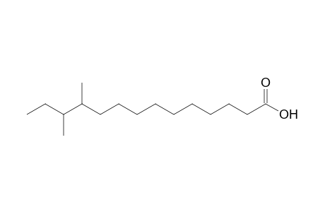 11,12-Dimethyltetradecanoic Acid