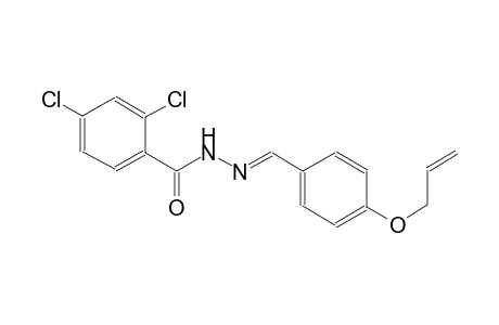 benzoic acid, 2,4-dichloro-, 2-[(E)-[4-(2-propenyloxy)phenyl]methylidene]hydrazide