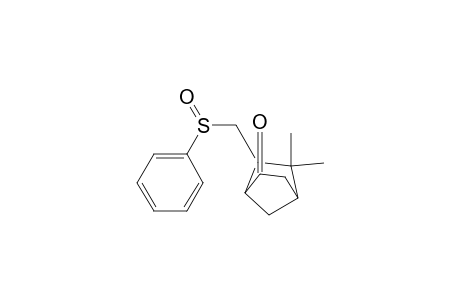 5,5-Dimethyl-6-[(phenylsulfinyl)methyl]bicyclo[2.2.1]heptan-2-one