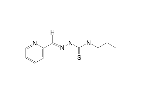 2-Pyridinecarbaldehyde 4-propyl-3-thiosemicarbazone