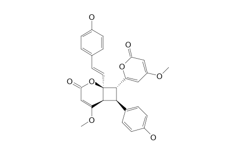 ACHYRODIMER-D;4'-METHOXY-8-(12-HYDROXYPHENYL)-7-[6-(4-METHOXY-2-PYRONYL)]-6-(12'-HYDROXY-TRANS-STYRYL)-1'-OXABICYClO-[4.2.0]-OCTA-4'-EN-2'-ONE