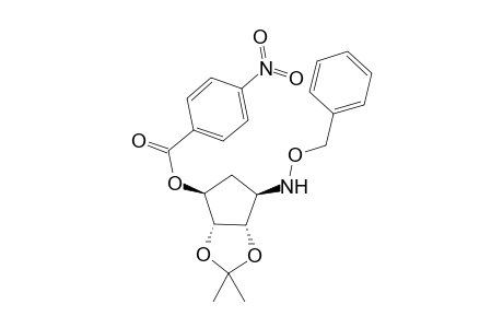 (1S,2S,3S,4R)-4-O-Benzylhydroxyamino-2,3-isopropylidene-1-O-p-nitrobenzoyl-1,2,3-cyclopentanetriol