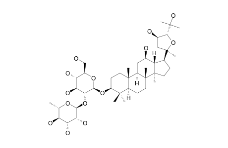 NEOALSOSIDE_A3