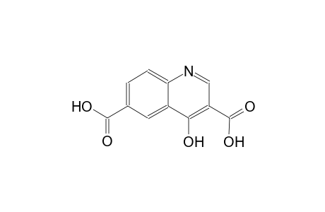 3,6-quinolinedicarboxylic acid, 4-hydroxy-