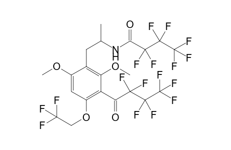Psi-MTFEM 2HFB (N,C)
