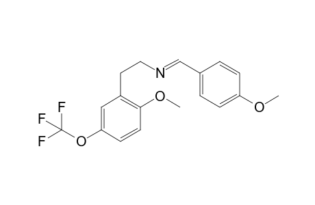 5TF-2C-H N-(4-methoxybenzyl)-A (-2H)