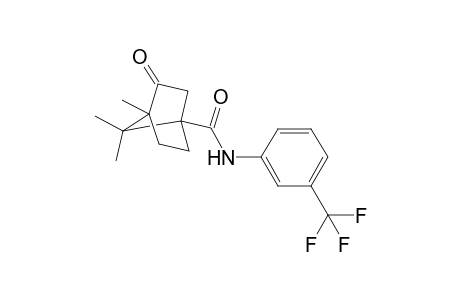 4,7,7-Trimethyl-3-oxo-N-[3-(trifluoromethyl)phenyl]bicyclo[2.2.1]heptane-1-carboxamide