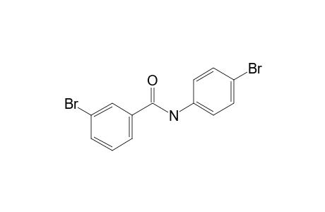 Benzamide, N-(4-bromophenyl)-3-bromo-