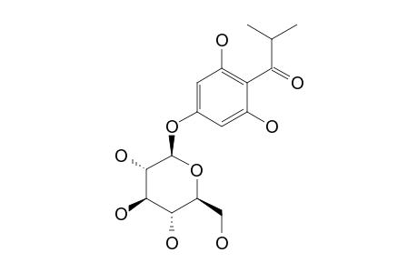5-[(2-METHYLBUTYRYL)-PHLOROGLUCINYL]-BETA-D-GLUCOPYRANOSIDE
