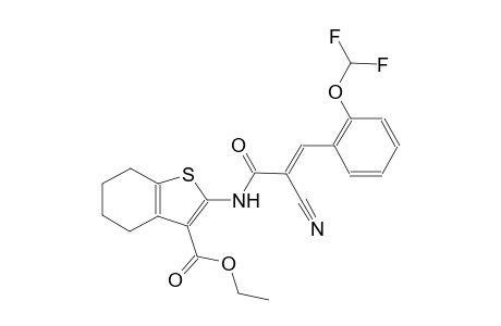 ethyl 2-({(2E)-2-cyano-3-[2-(difluoromethoxy)phenyl]-2-propenoyl}amino)-4,5,6,7-tetrahydro-1-benzothiophene-3-carboxylate