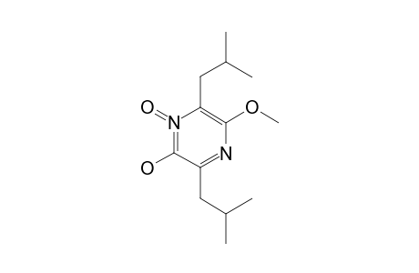 2-HYDROXY-3,6-DIISOBUTYL-5-METHOXYPYRAZINE-1-OXIDE