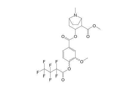 Cocaine-M (HO-methoxy-) HFB