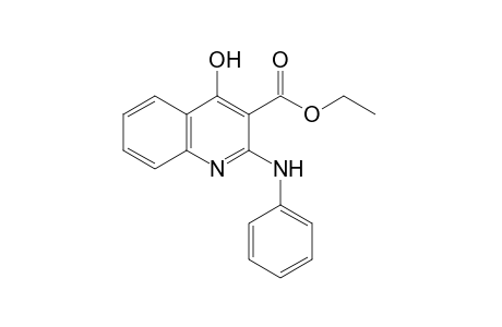 2-anilino-4-hydroxy-3-quinolinecarboxylic acid, ethyl ester