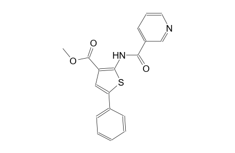 methyl 5-phenyl-2-[(3-pyridinylcarbonyl)amino]-3-thiophenecarboxylate