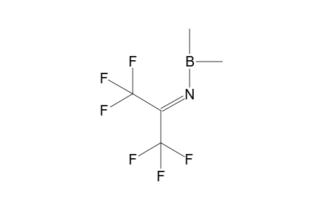 B(CH3)2NC(CF3)2