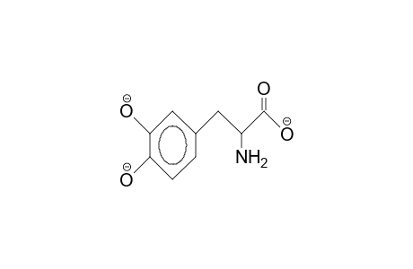 3-(3,4-Dihydroxy-phenyl)-alaninate trianion