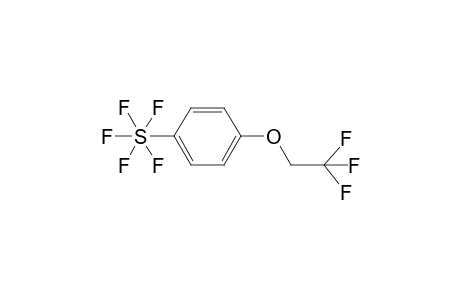 1-(Pentafluorosulfanyl)-4-(2,2,2-trifluoroethoxy)benzene