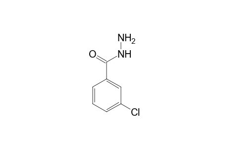 3-Chlorobenzohydrazide